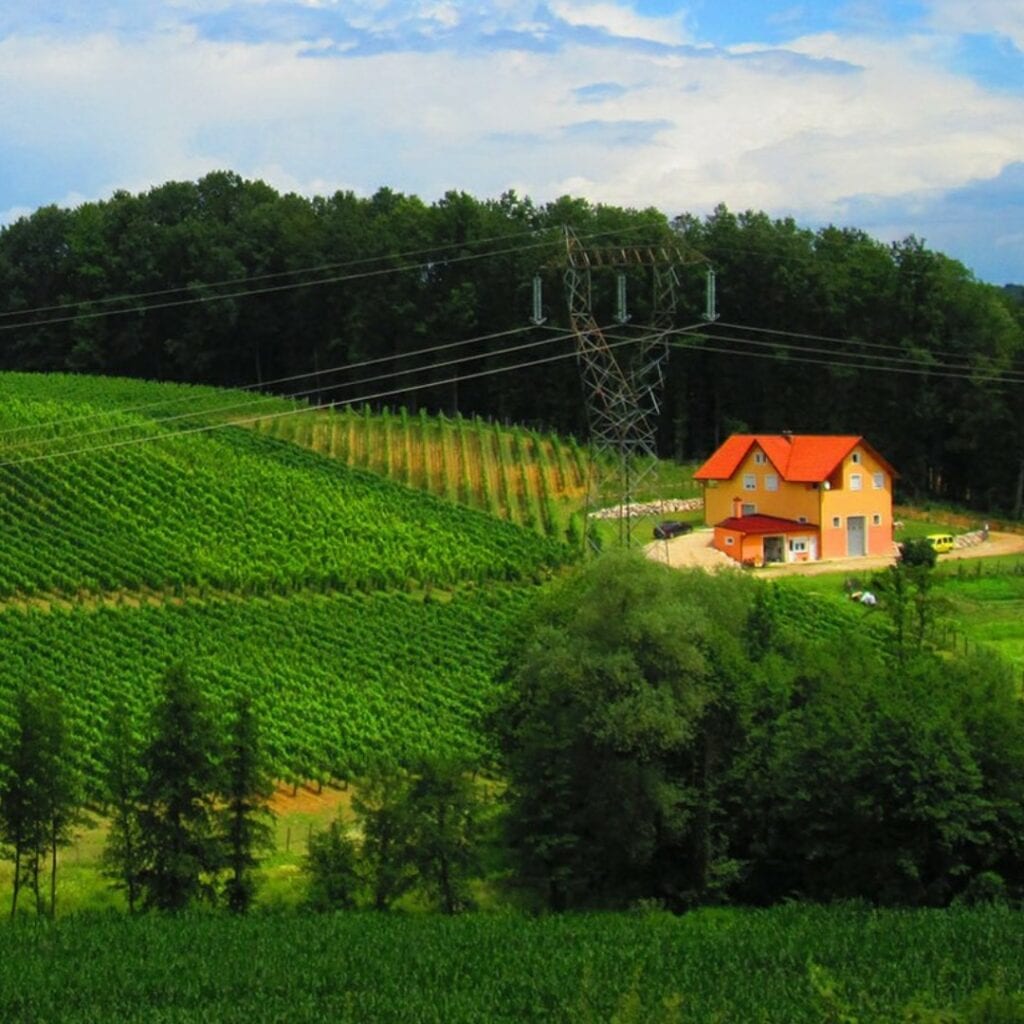 Vinarija Fazan