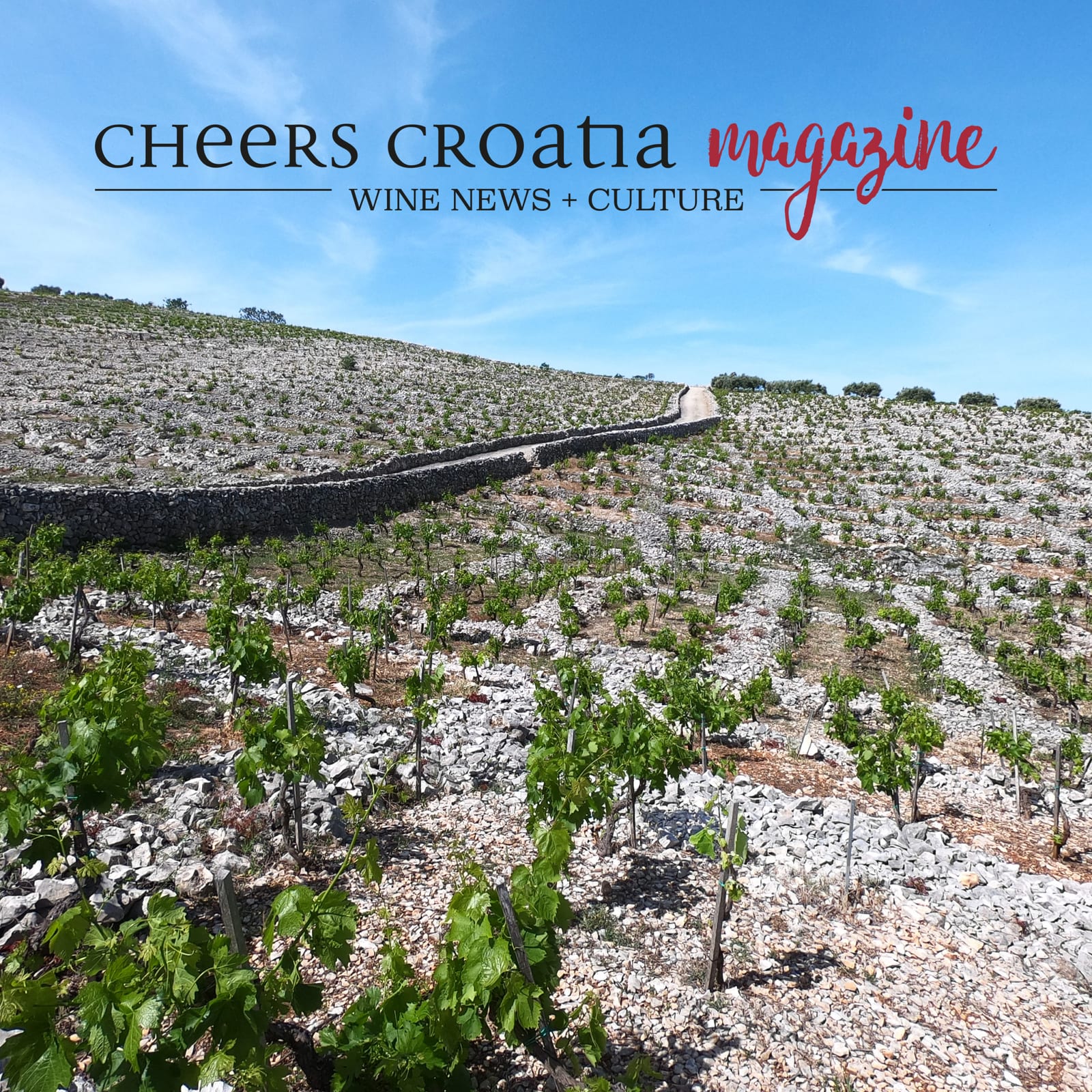 Crikvenica Food & Wine Walk 2026