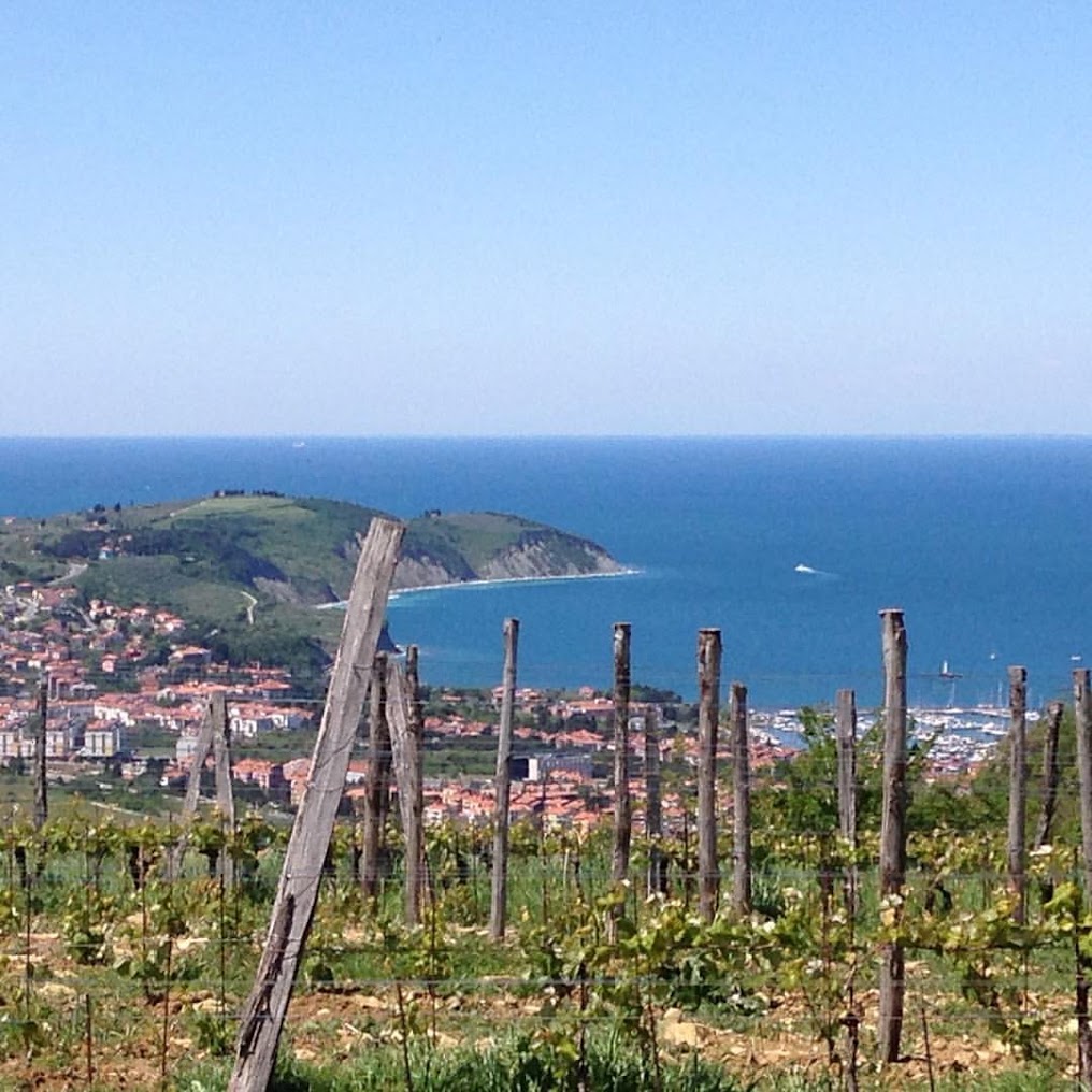 Vinarija Rojac