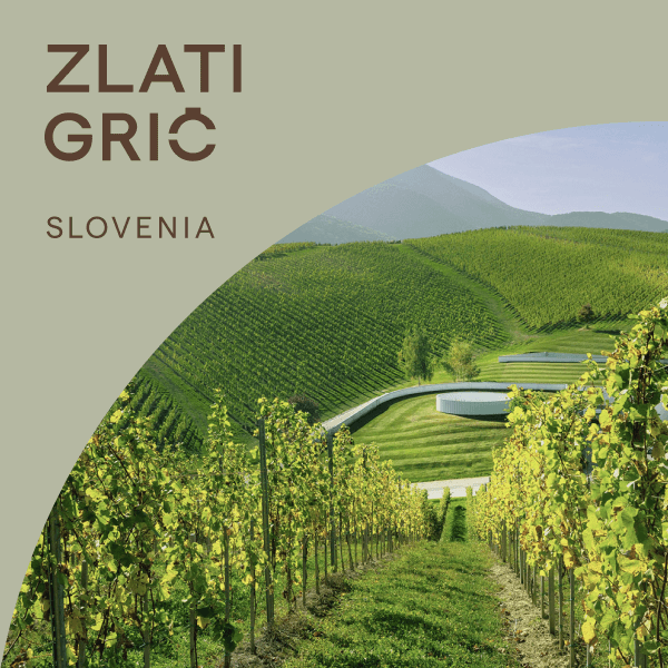 Vinarija Zlati grič
