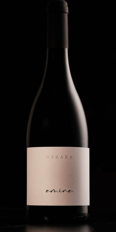 Baraka Amina, Vinarija Baraka