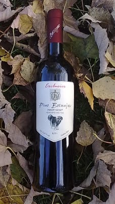Pino Botunjac, Vinarija Botunjac