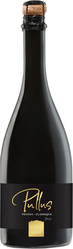 Pullus Brut penina, Vinarija Ptujska klet