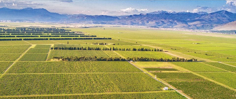 Vinarija 13. Jul – Plantaže