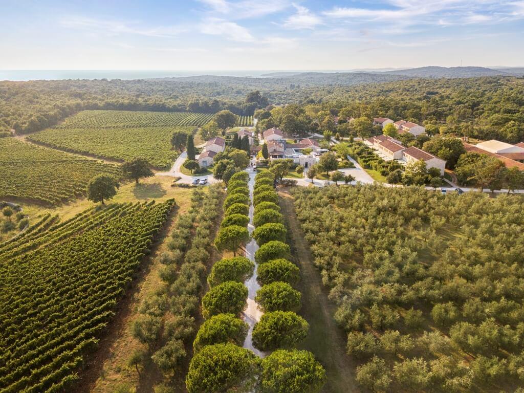 Vinarija Meneghetti