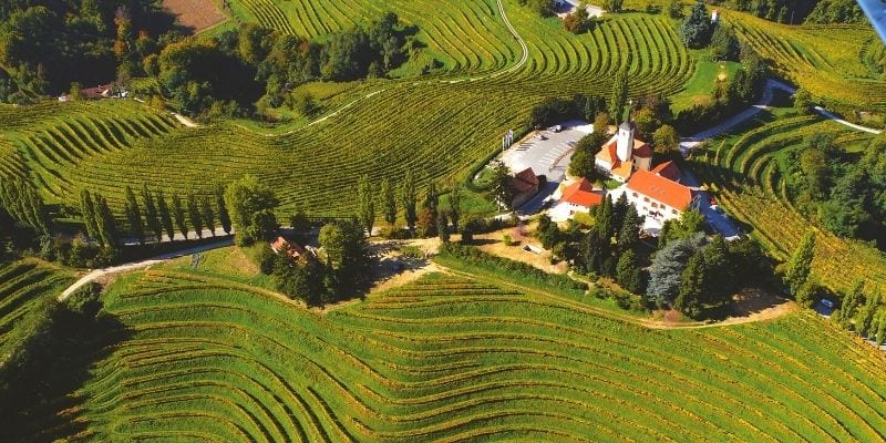 Vinarija Puklavec Family Wines