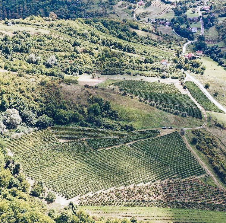 Vinarija Korak