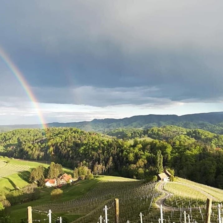 Vinarija Gaube