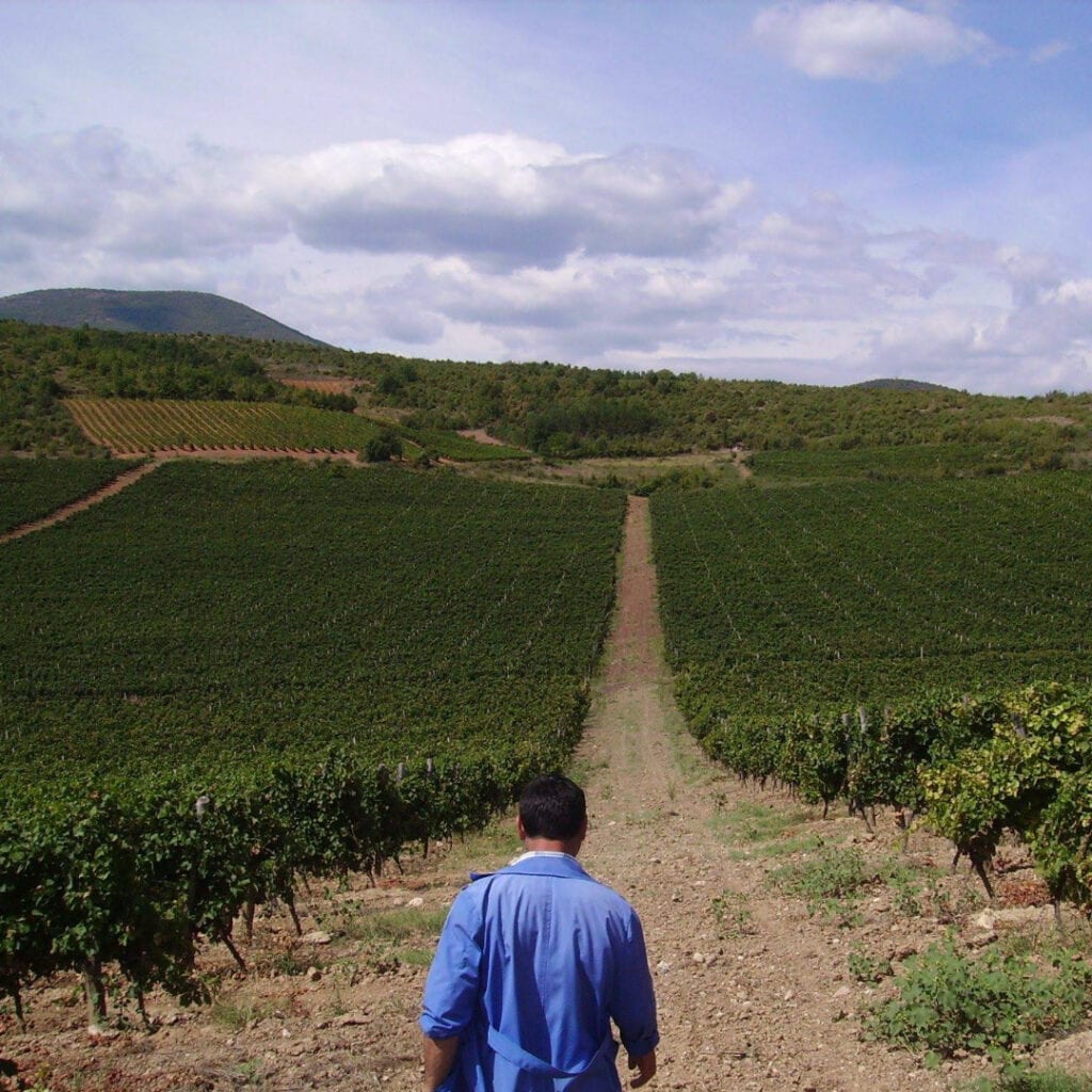 Vinarija Imako Vino