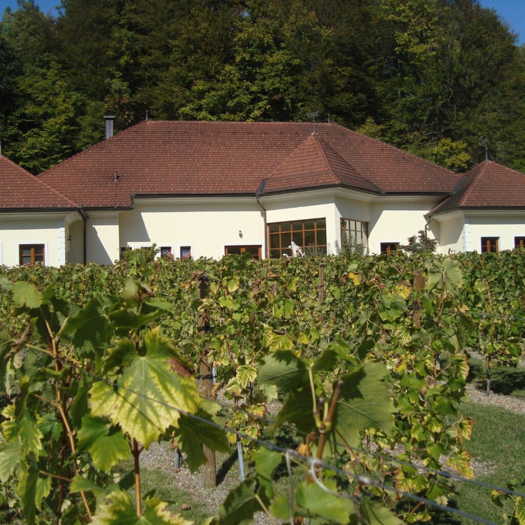 Vinarija Vinska klet Mastnak