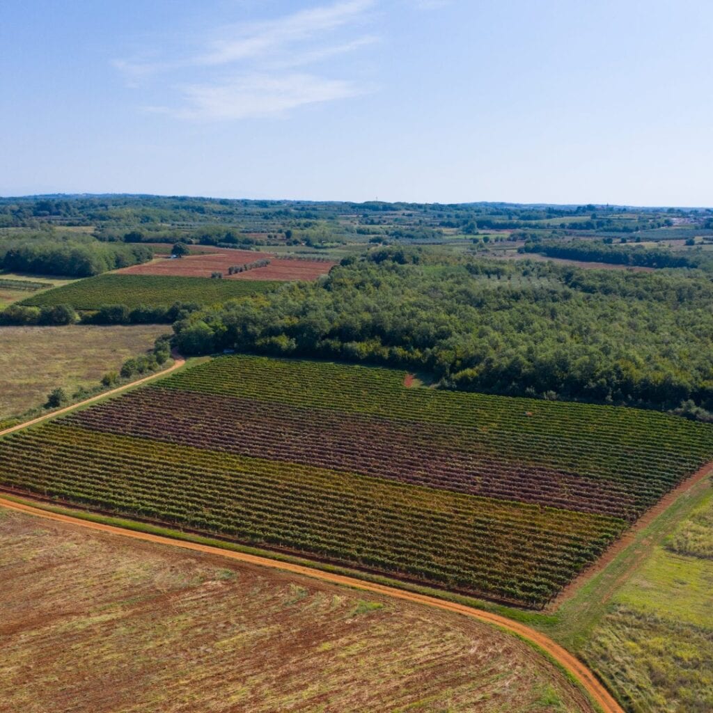Vinarija Cossetto