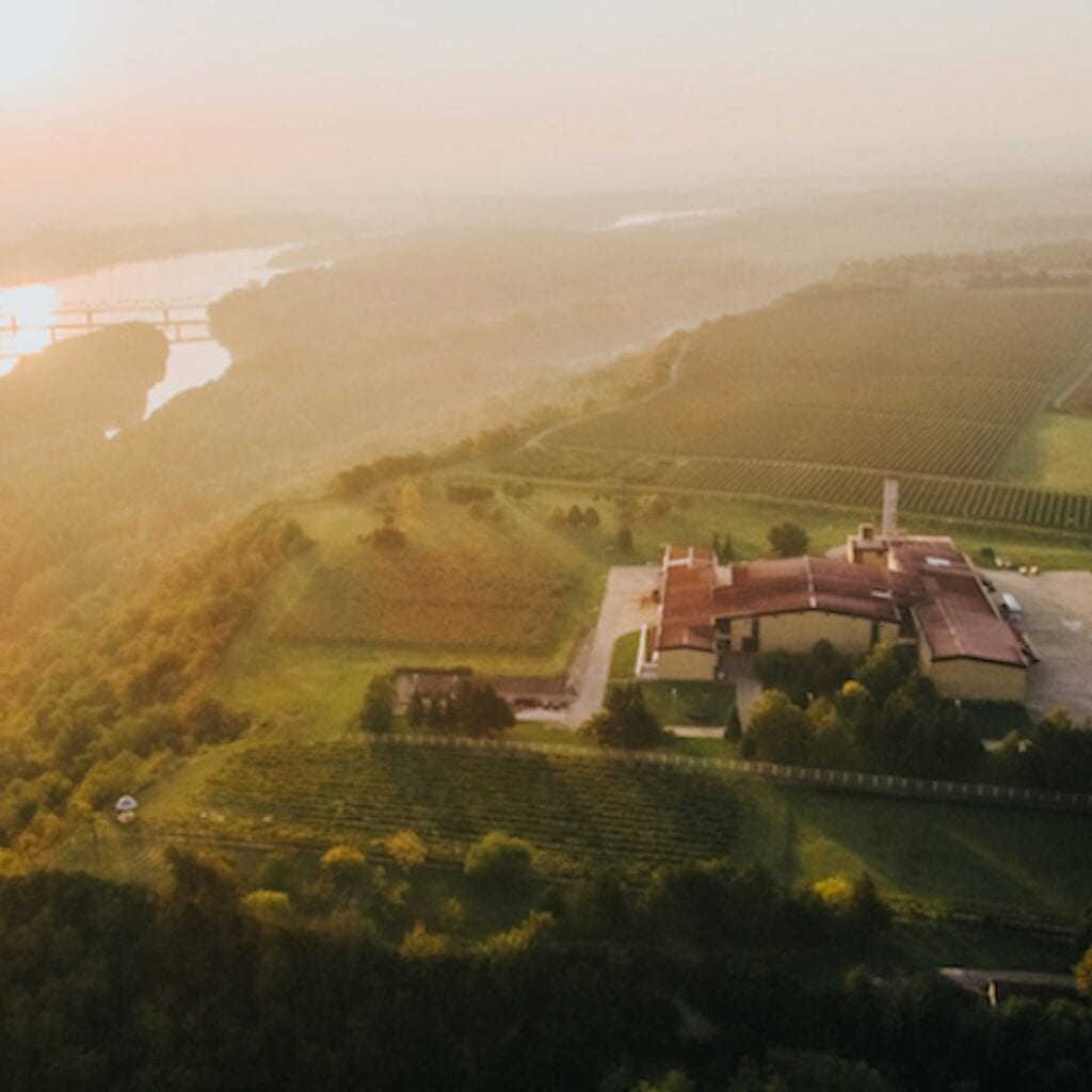Vinarija Vina Erdut