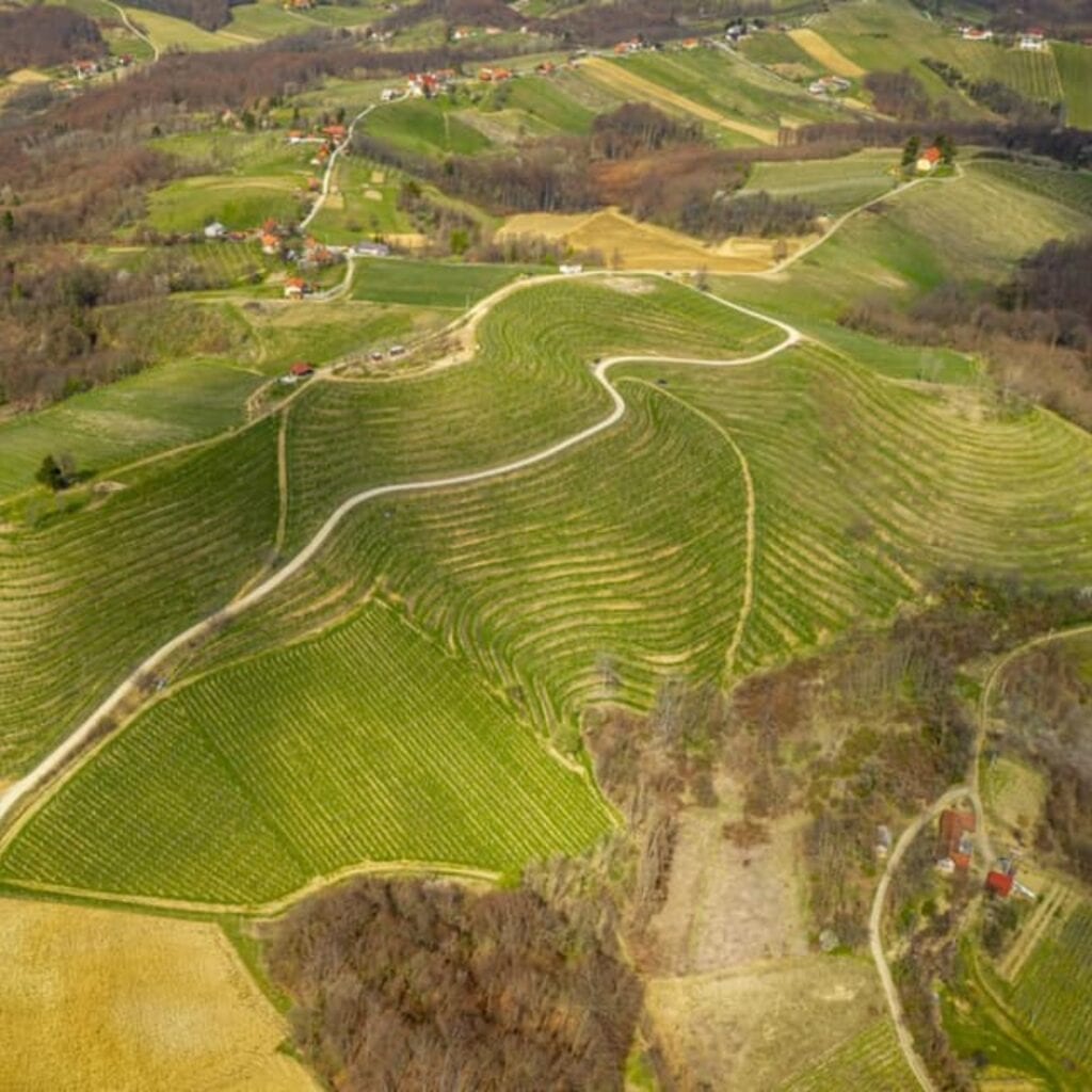 Silvanac (Silvaner)
