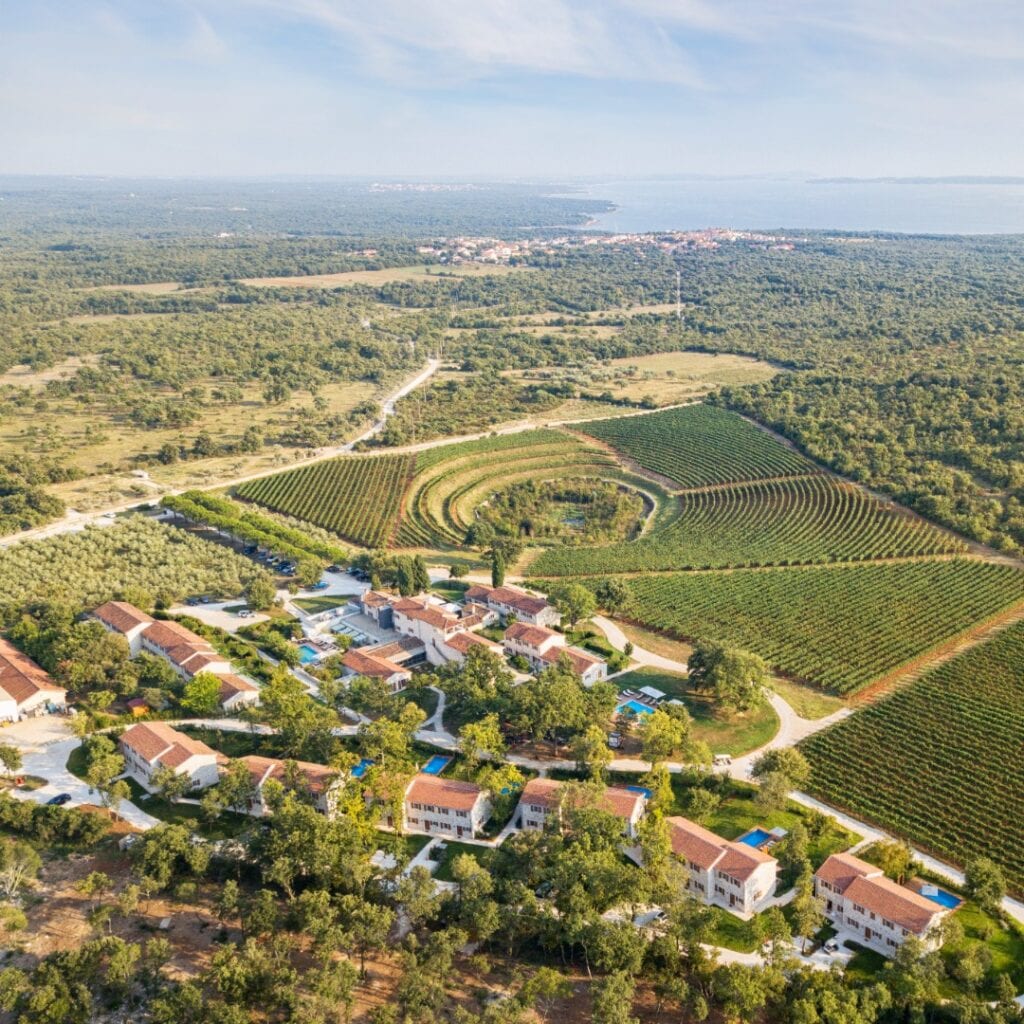 Intervju: Miroslav Plišo, generalni menadžer Meneghetti Wine Hotel & Winery