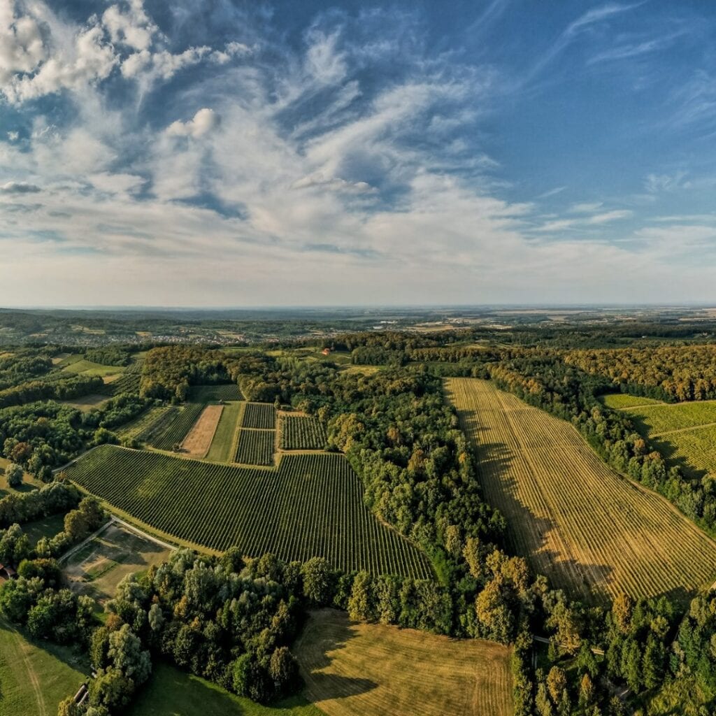 Vinarija PP Orahovica