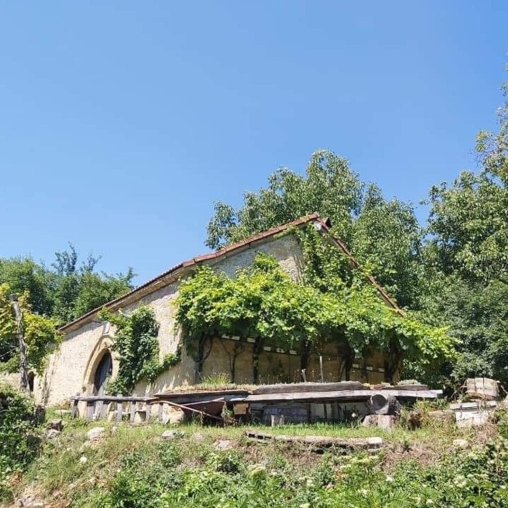 Vinarija Vinski podrum Mirjana 1861
