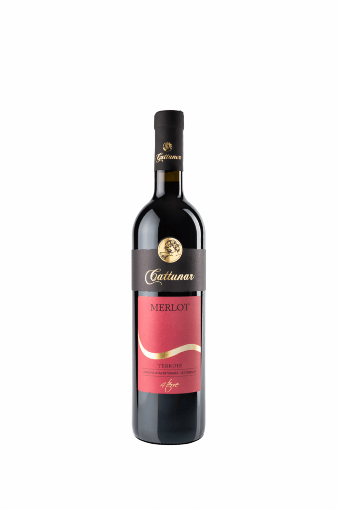 Merlot 2017 - Vina Cattunar