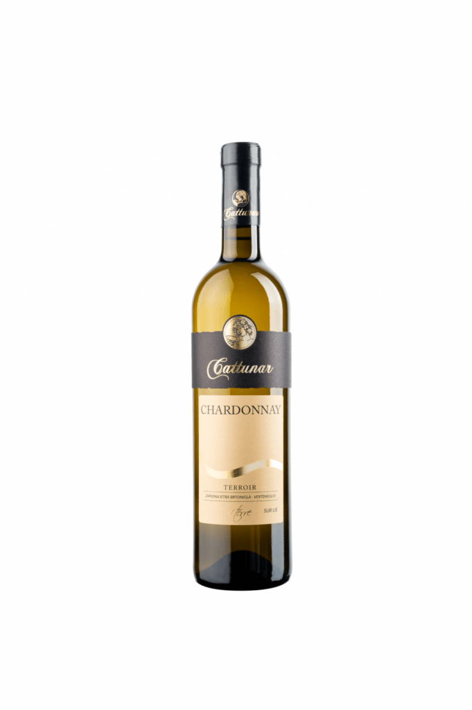Chardonnay 2021 - Vina Cattunar