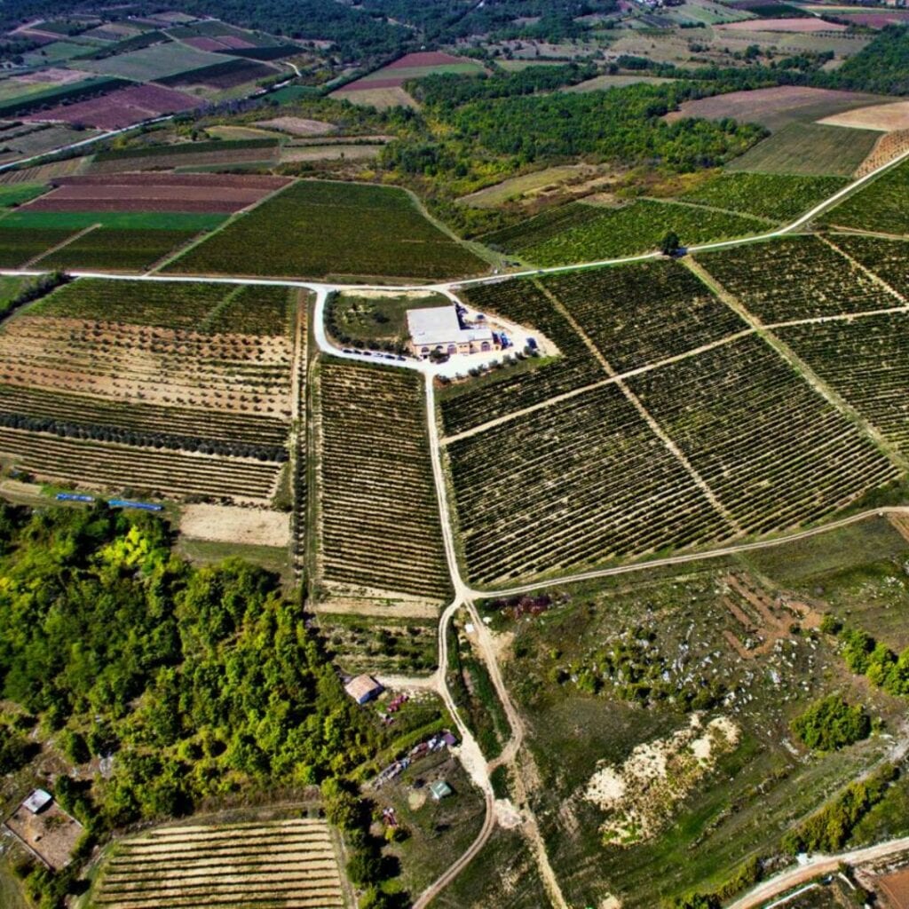 Vinarija Vina Cattunar