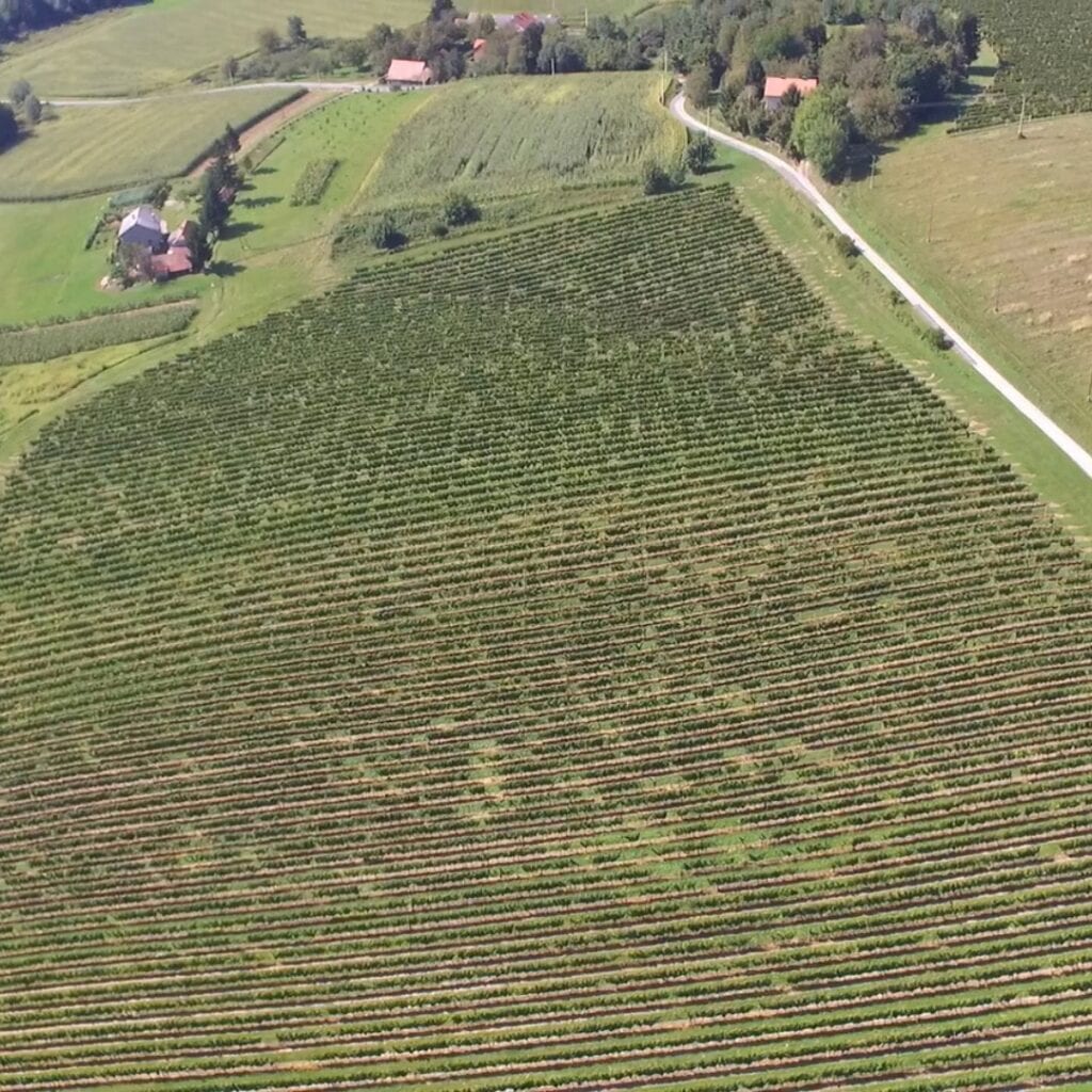 Podrum Štrigova