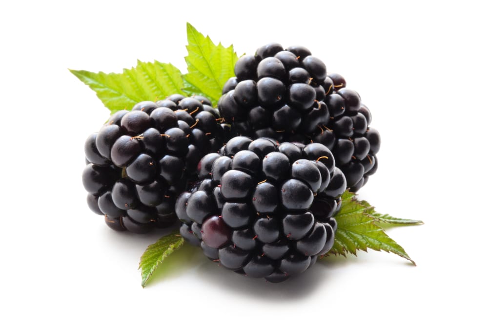 Kupinovo vino